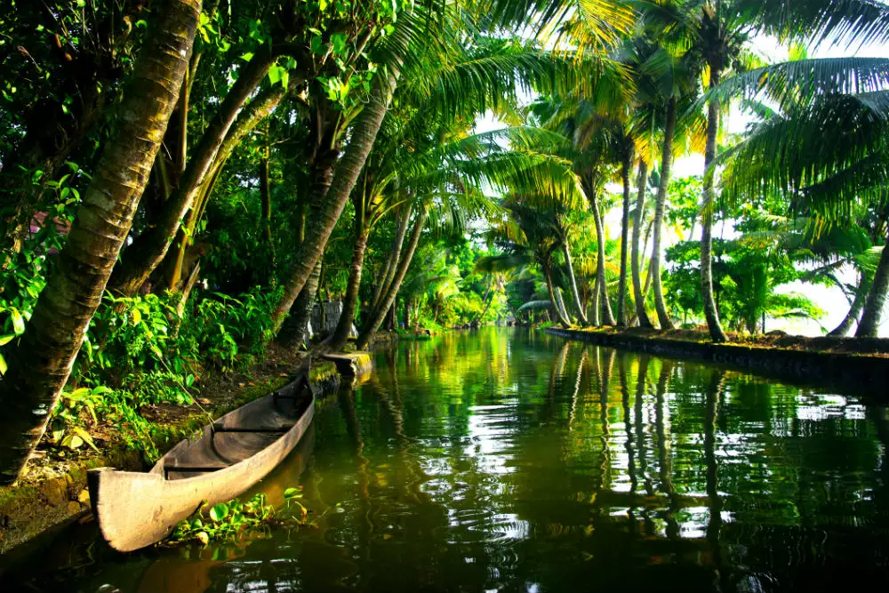 Munnar Thekkady Special Tour Package
